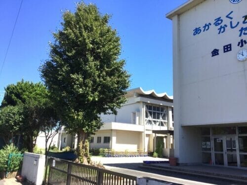 秋倉諒子さんの出身小学校は千葉県木更津市の金田小学校