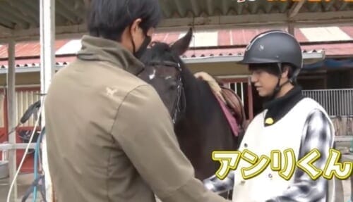 キンプリの乗馬体験で髙橋海人さんが乗ることになった牡馬はアンリくん